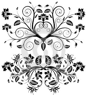 Collect flower border