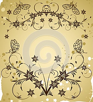 Collect flower border