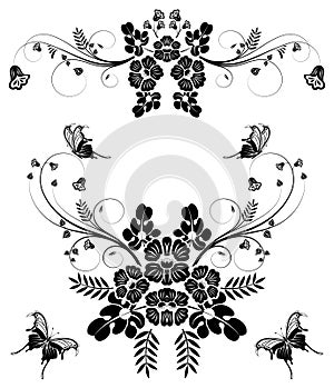 Collect flower border