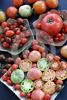 Collect of tomatoes, cheap food anticancer
