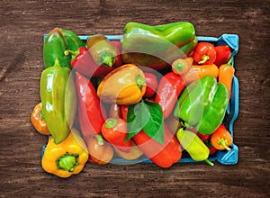 Collected in a box of red, green and yellow bell peppers