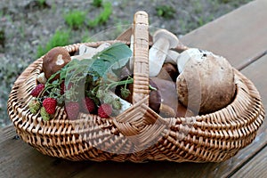 Collected mushrooms in a basket with a raspberry branch on a wooden background, close - up-the concept of autumn mushroom picking