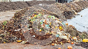 Collected organic waste at landfill for composting