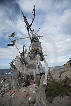 Collected waste at a beach photo