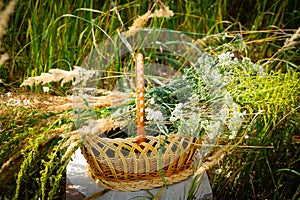 Collected white flowers and spikelets in a wicker basket