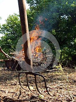 Collecting hay handtool photo