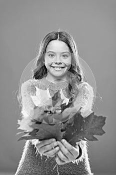 Collecting leaves. Cute happy smiling kid playing with leaves. Botany concept. Natural treasures. Color pigment. Changes