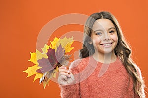 Collecting leaves. Cute happy smiling kid playing with leaves. Natural treasures. Color pigment. Changes in nature