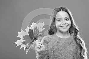 Collecting leaves. Cute happy smiling kid playing with leaves. Natural treasures. Color pigment. Changes in nature