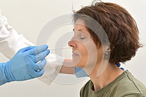 Collecting a nasopharyngeal nose and throat swab photo