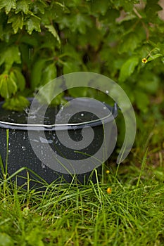 Collecting rainwater into a overflowing bucket in the grass