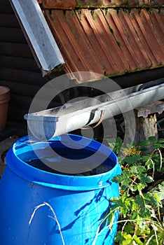 Collecting rainwater for watering the garden photo