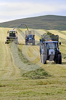 Collecting the Silage photo