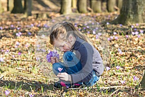 Collecting spring flowers