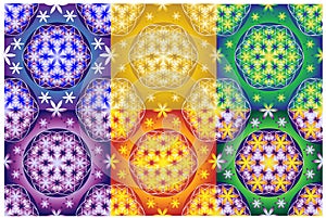 Collection of 6 flower of life seamless patterns