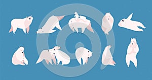 Collection of adorable amusing polar bear in different poses isolated on blue background. Cute funny cartoon Arctic