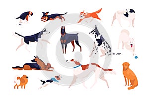 Collection of adorable dogs of different breeds playing, running, walking, sitting, pooping. Bundle of amusing cartoon photo