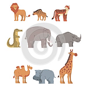 Collection of African Animal, Hippopotamus, Lion, Rhino, Elephant, Crocodile, Wild Predator and Herbivore Jungle