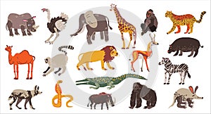 Collection of African animals set. Elephant, hippo, rhino, lion herbivores and carnivores vector illustration