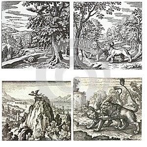 Collection of alchemical puzzles of animals by maier and lambsprinck