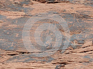 Collection of ancient petroglyphs in Valley of Fire Nevada