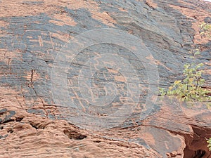 Collection of ancient petroglyphs in Valley of Fire Nevada