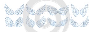 Collection of angel, bird or amour feather wings drawn with contour lines. Set of romantic decorative design elements