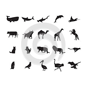 collection of animal and bird silhouettes. Vector illustration decorative design