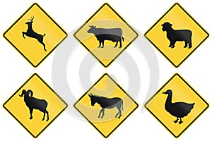 Collection of animal crossing signs used in the USA