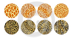 Collection of animal fur pattern circular illustration. Vector background with texture