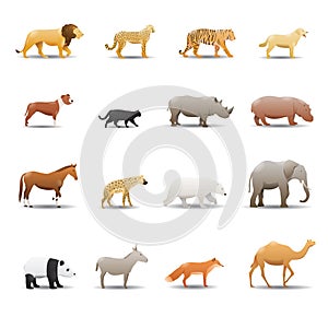 Collection of animals. Vector illustration decorative design