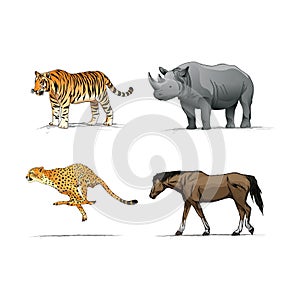 Collection of animals. Vector illustration decorative design