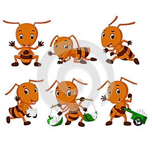 Collection of ant cartoon
