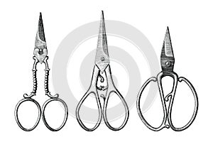 Collection of antique scissors hand draw vintage style black and white clip art isolated on white background,Vintage scissors rare