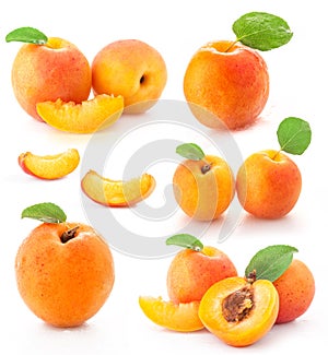 Collection of apricot fruits photo