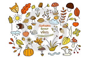 Collection of autumn forest doodle elements. Fall background