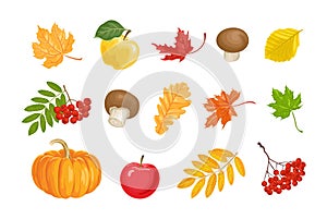 Collection of autumn illustrations. Set of elements for design.