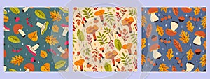 Collection of autumn seamless patterns with mushrooms, berries and leaves. Vector graphics