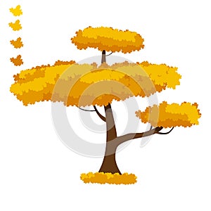 Collection Of Autumn Trees, Isolated On White Background. Simple collection of autumn trees of different shapes. Vector