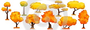 Collection Of Autumn Trees, Isolated On White Background. Simple collection of autumn trees of different shapes. Vector