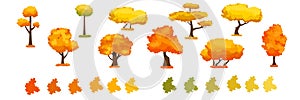 Collection Of Autumn Trees, Isolated On White Background. Simple collection of autumn trees of different shapes. Vector