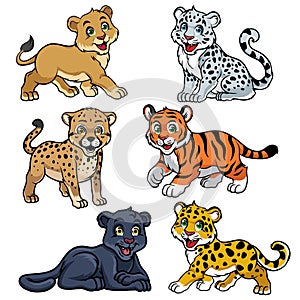 Collection of babies big cats