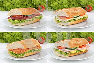 Collection of baguettes on plate with salami ham salmon cheese f