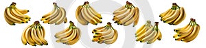 Collection of bananas isolated on transparent background.