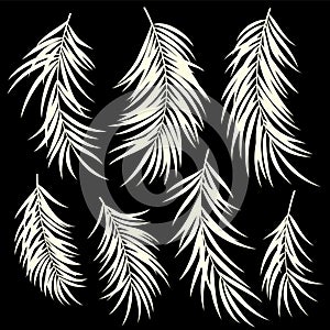 Collection of beautiful fern leaves vector material,