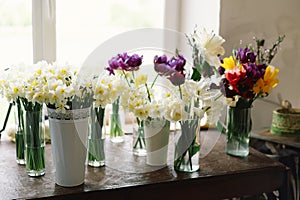 Collection of beautiful fresh flowers in stylish vases