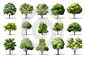 Collection of Beautiful Trimmed Urban Trees Isolated on White Background. Generative ai