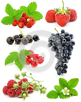 Collection of berry fruits isolated on white