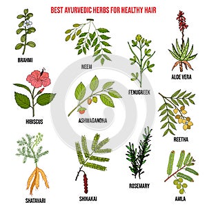 Collection of best ayurvedic herbs for healthy hair