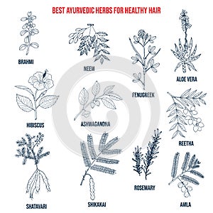 Collection of best ayurvedic herbs for healthy hair